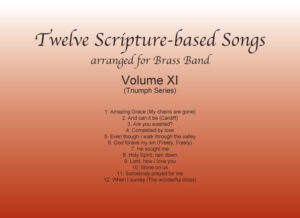 12 SCRIPTURE-BASED SONGS  VOL.11