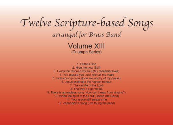 12 SCRIPTURE-BASED SONGS  VOL.13