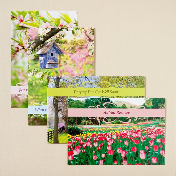 Get Well Spring Time Cards 12 Pack