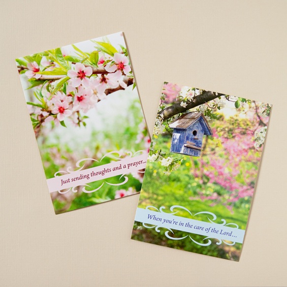 Get Well Spring Time Cards 12 Pack